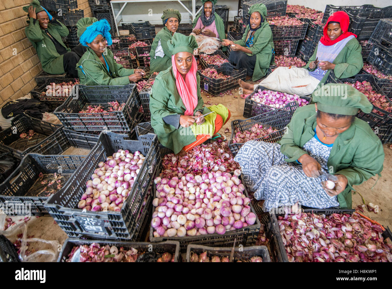 Meki Batu, Ethiopia Female workers peeling onions for added value at