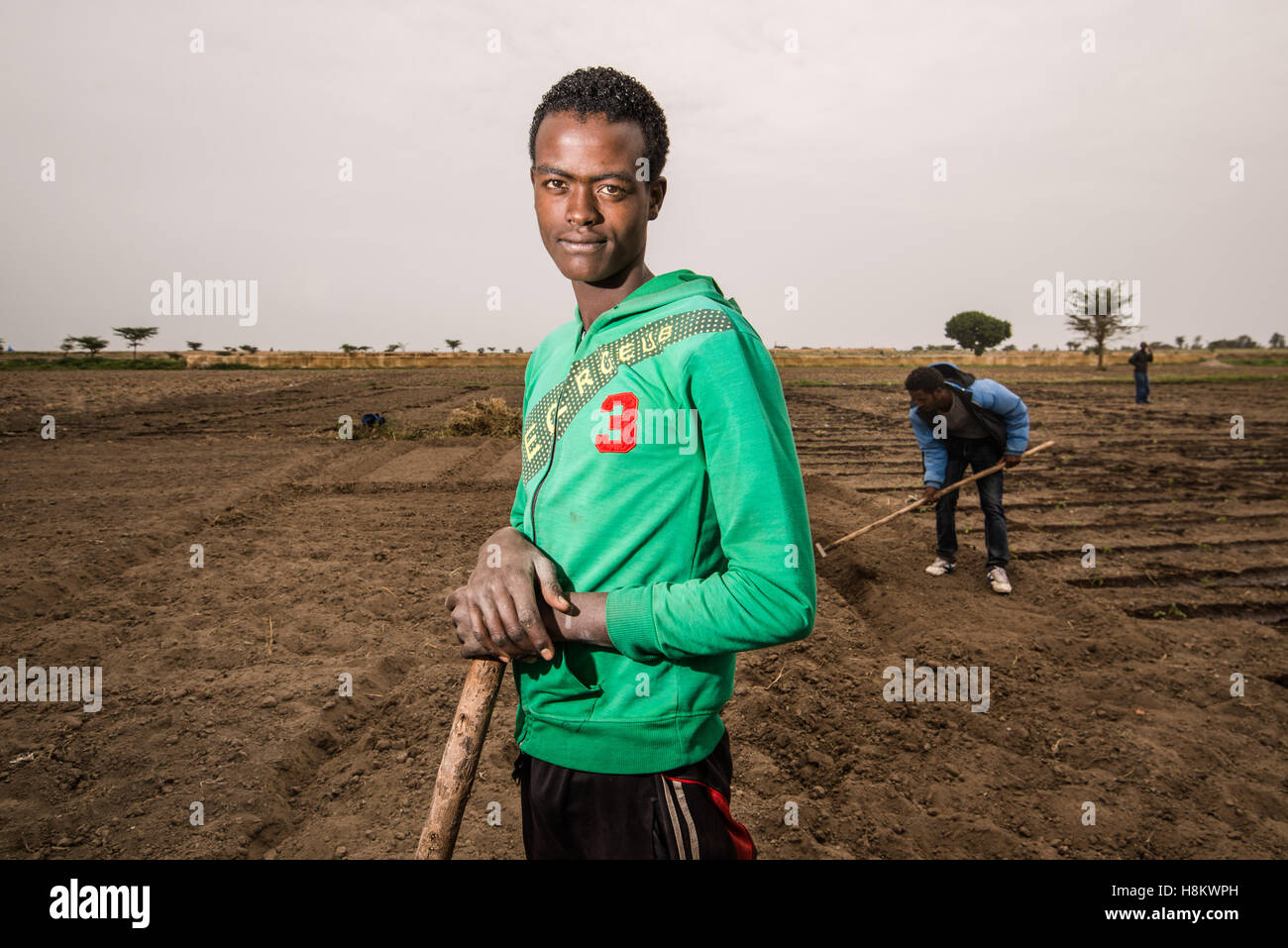 Meki Batu, Ethiopia - Young male workers tilling the ground at the Fruit and Vegetable Growers Cooperative in Meki Batu. Stock Photo
