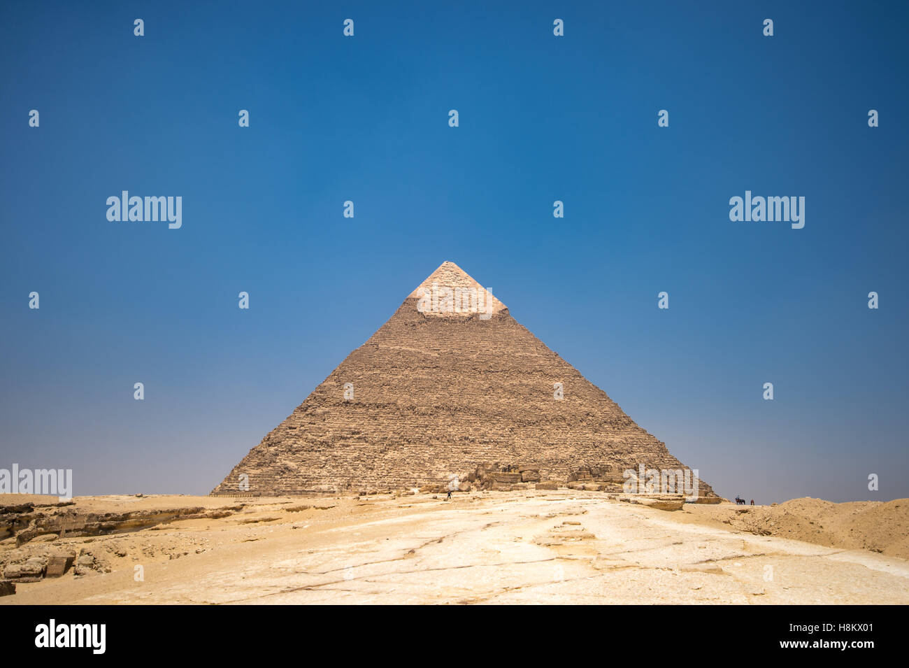 Cairo, Egypt the Great Sphinx of Giza standing tall with the Great