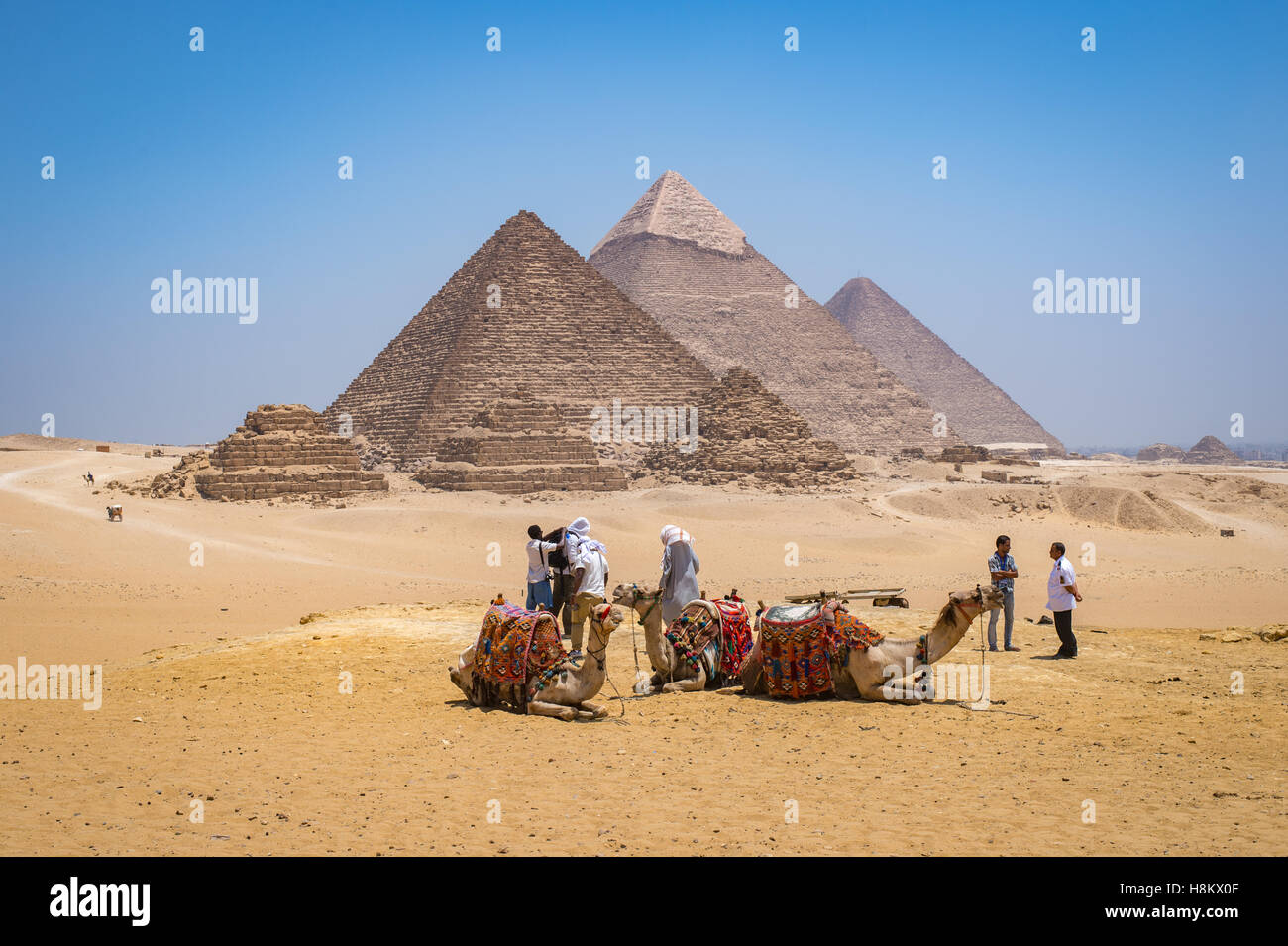 Cairo, Egypt Tourists and camel drivers with their camels resting in the desert with the three Great pyramids of Giza in the bac Stock Photo