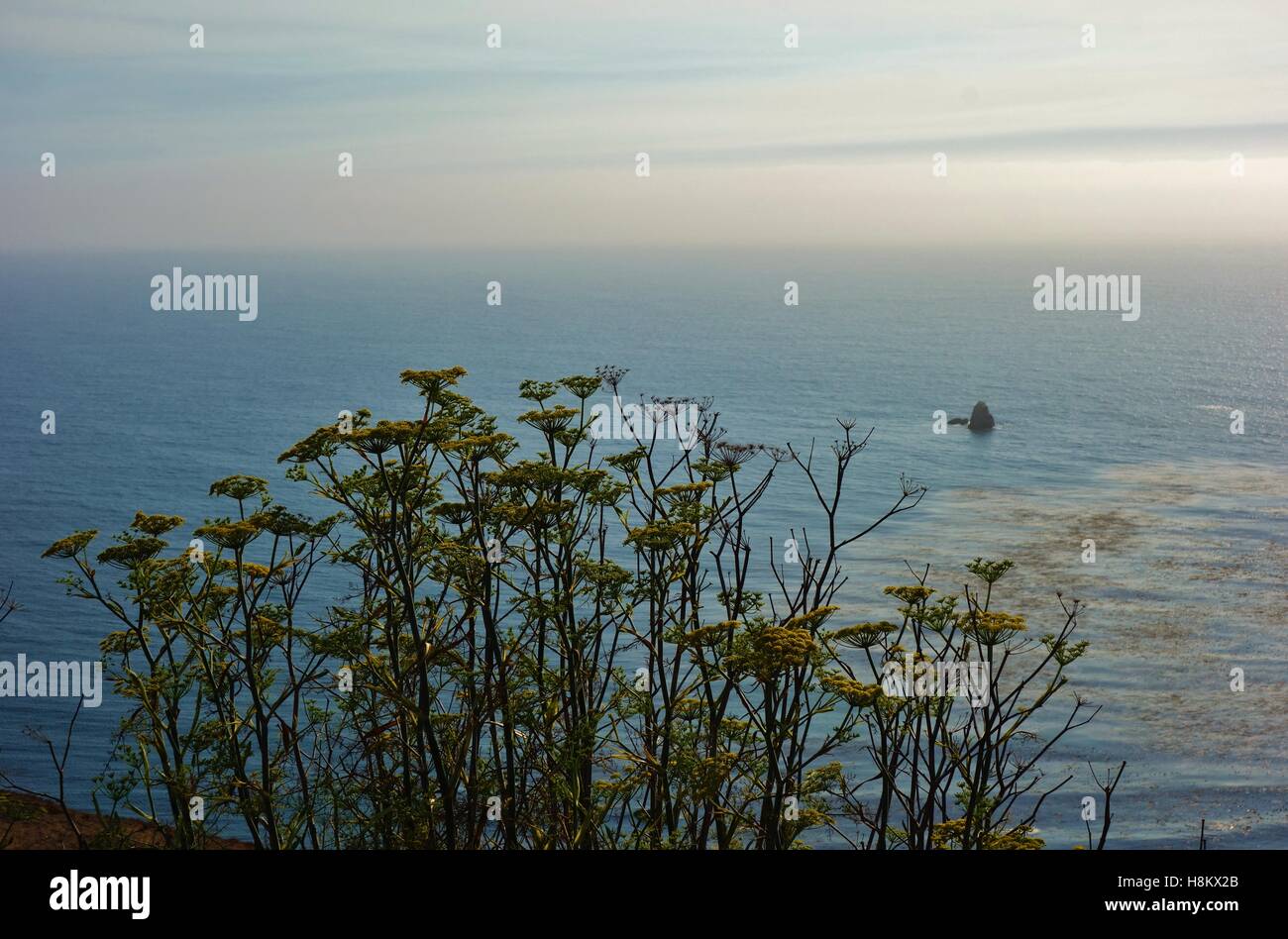 Driving in California on the Pacific Coast Highway (Route 1) from