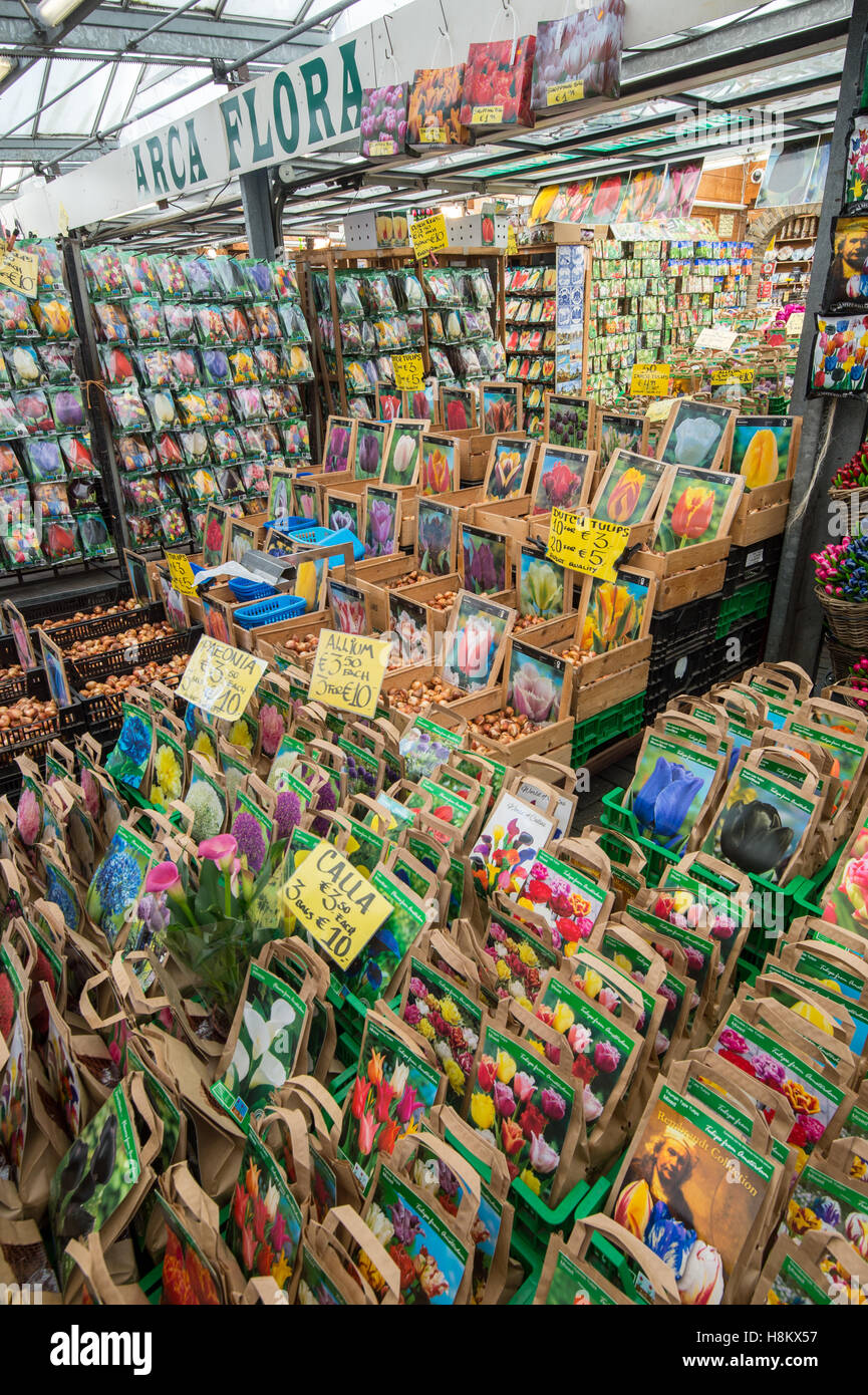Amsterdam, Netherlands large array of different colored flower seeds