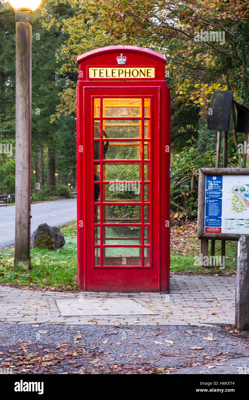 A traditional red British public telephone box at Centre Parcs Longleat Forest in Wiltshire Stock Photo
