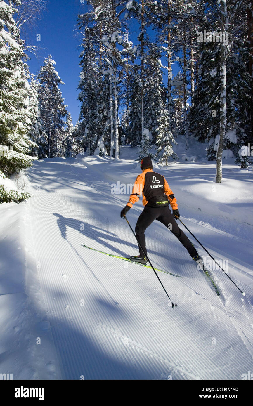 cross country skiing, Finland Europe Stock Photo Alamy