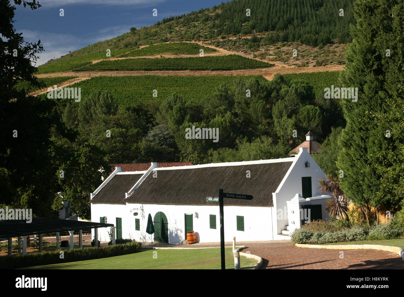 typical estate in south african wineries Stock Photo Alamy