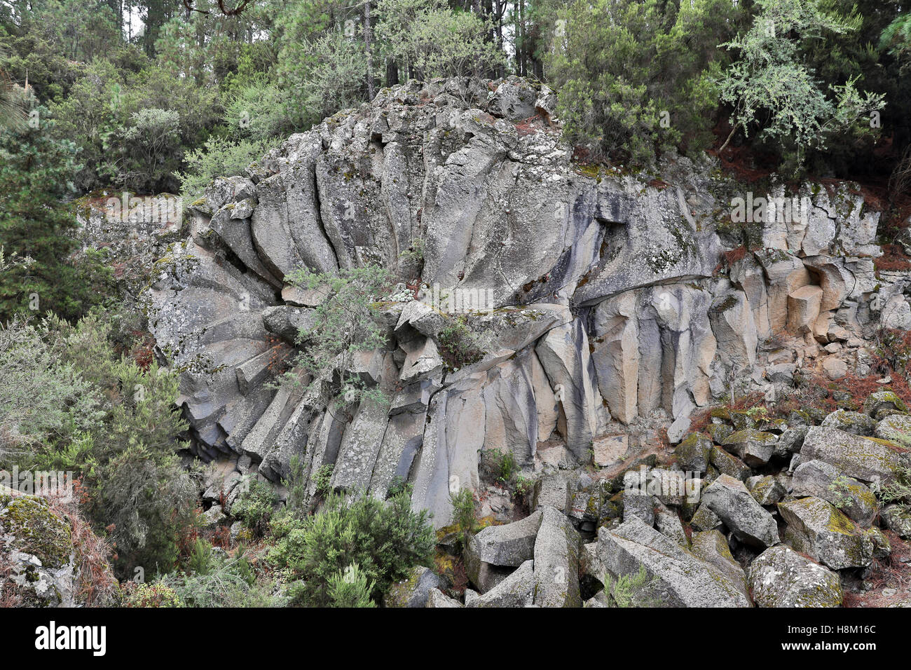 Rock formation, La margarita de piedra Stock Photo