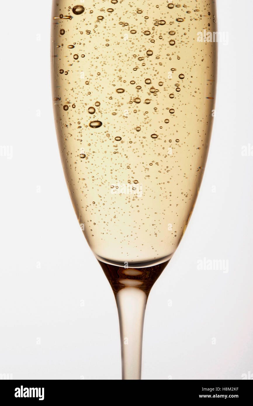 Glass of Champagne close up in studio Stock Photo