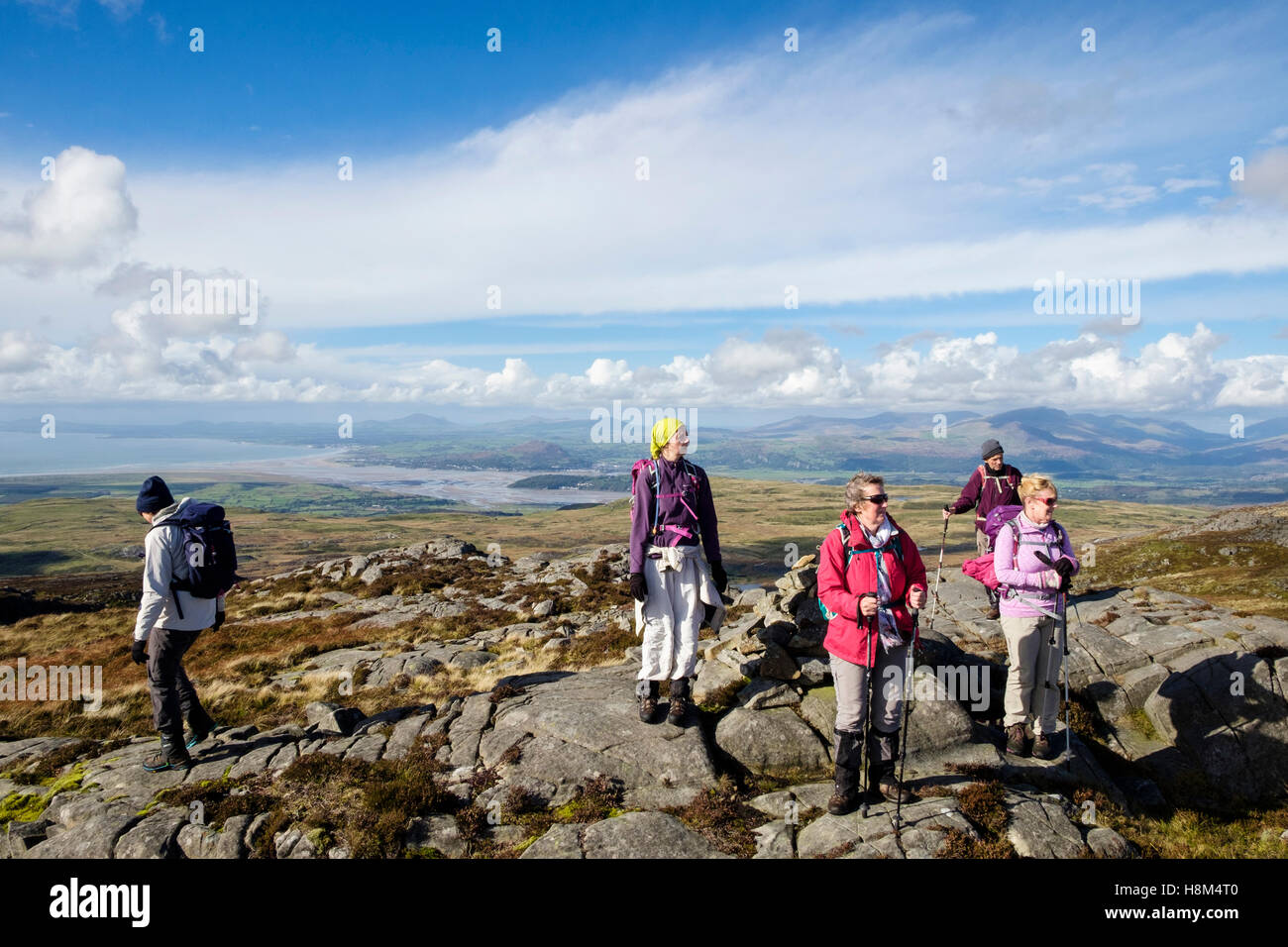 Hikers hiking in Rhinog mountains of southern Snowdonia National Park ...
