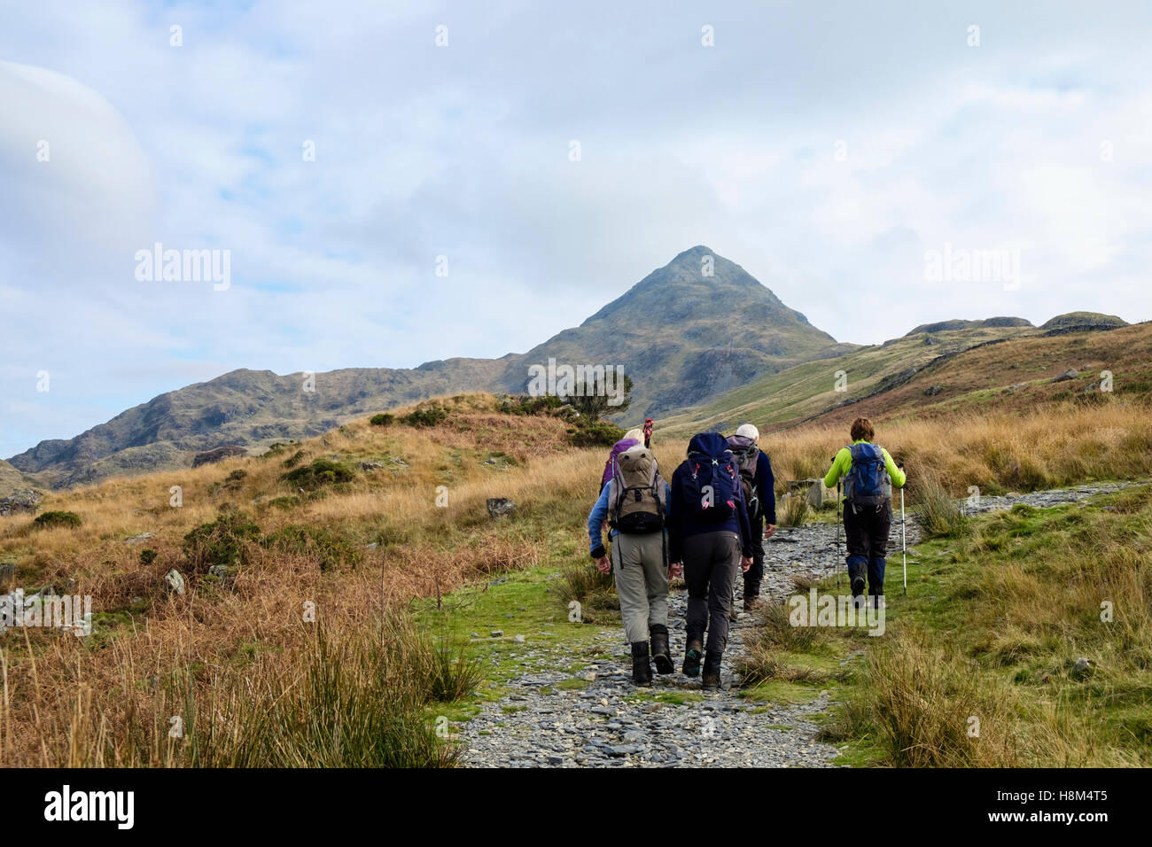 Hikers hiking on a mountain path up Cnicht in mountains of Snowdonia National Park from Croesor, Gwynedd, Wales, UK, Britain Stock Photo