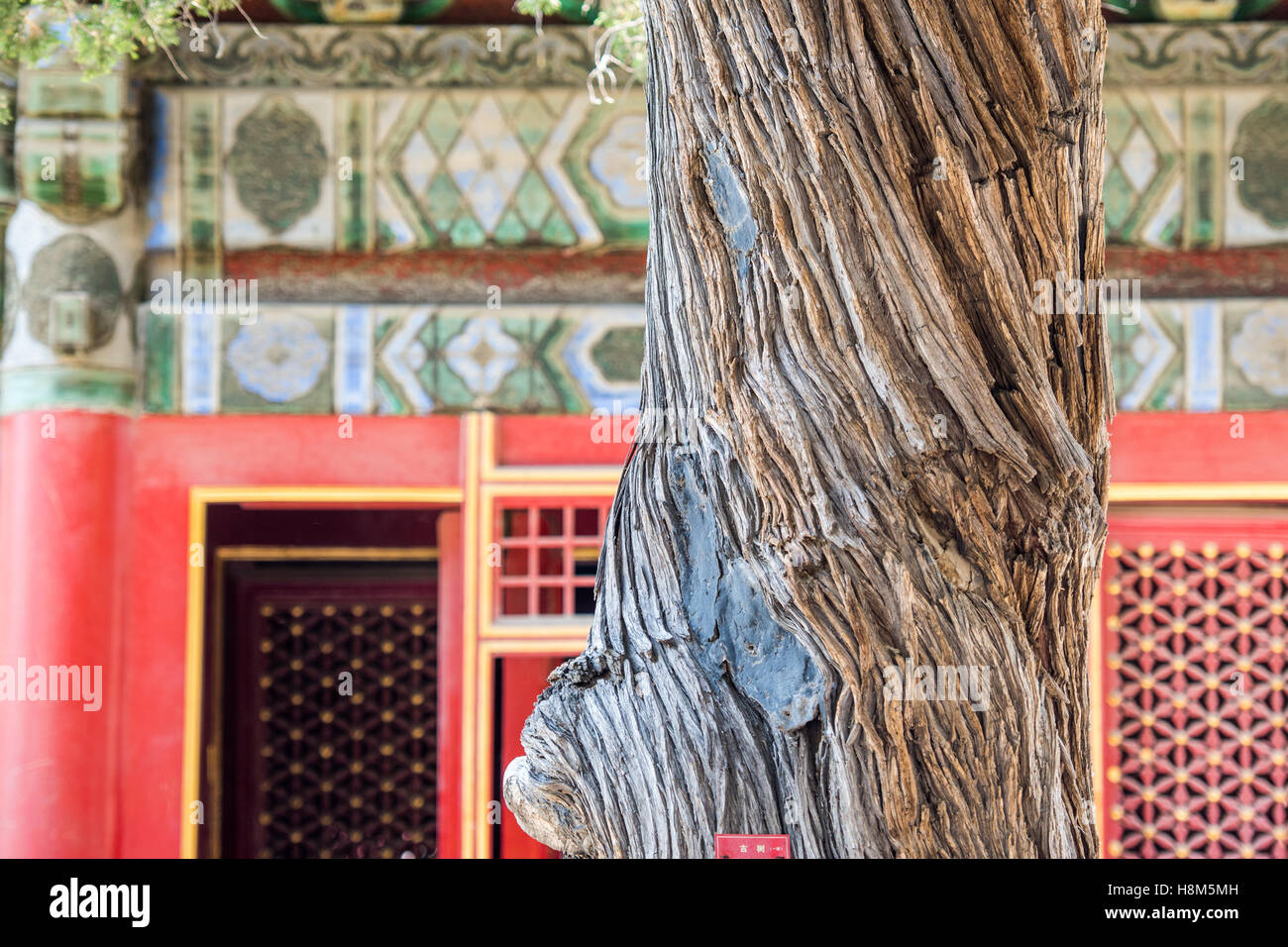 Beijing China - Detail of a tree in front of the ornamented architecture of the Palace Museum located in the Forbidden City. Stock Photo