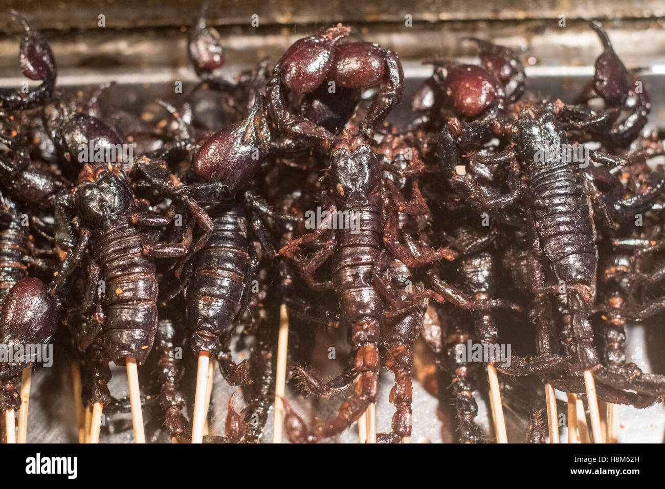 Beijing, China - Cooked scorpions on a stick for sale at the Donghuamen Snack Night Market, a large outdoor market that is an at Stock Photo