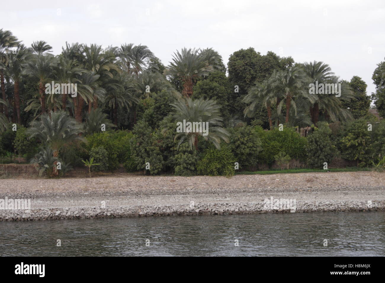 Green Land on the river Nile banks Stock Photo