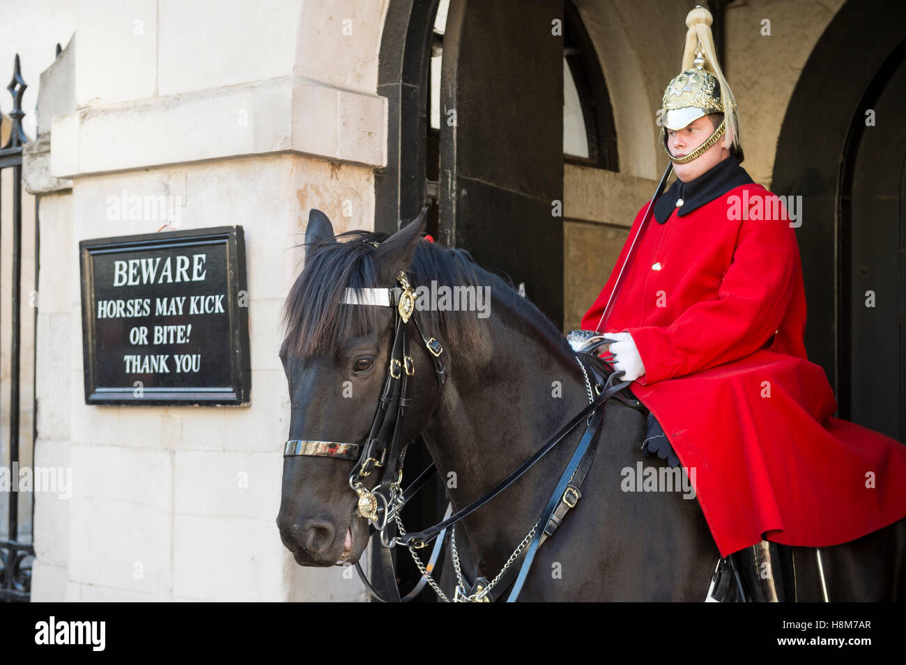 LONDON OCTOBER 31, 2016 Mounted Queen's Life Guard of the Household Cavalry sits on his horse