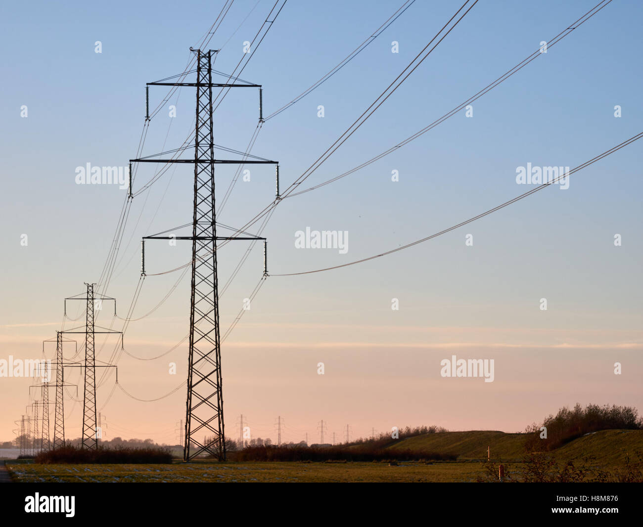 Powerlines at Dusk Stock Photo