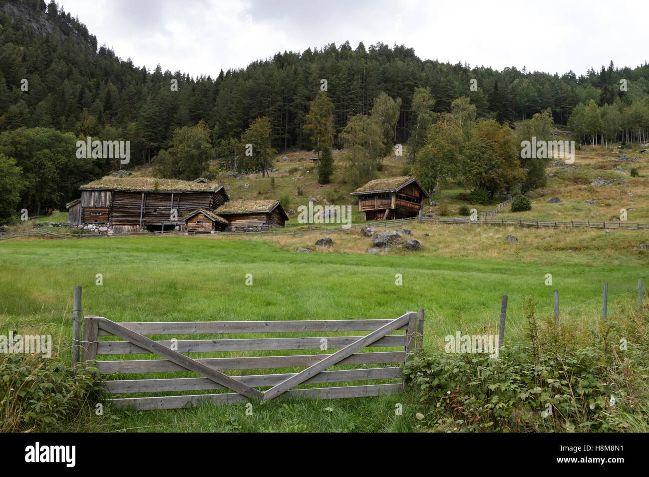 Farm house from the 16th century at Rygnestadtunet in the Setesdal, Norway Stock Photo