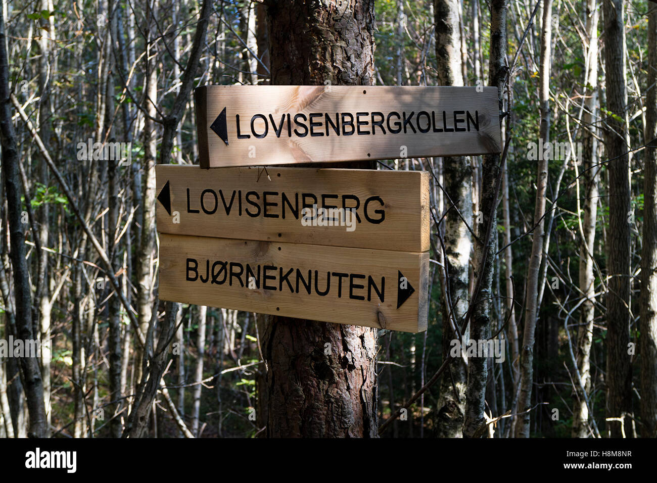 Walking path sign on the Lovisenkollen, Lovisenberg,Norway Stock Photo