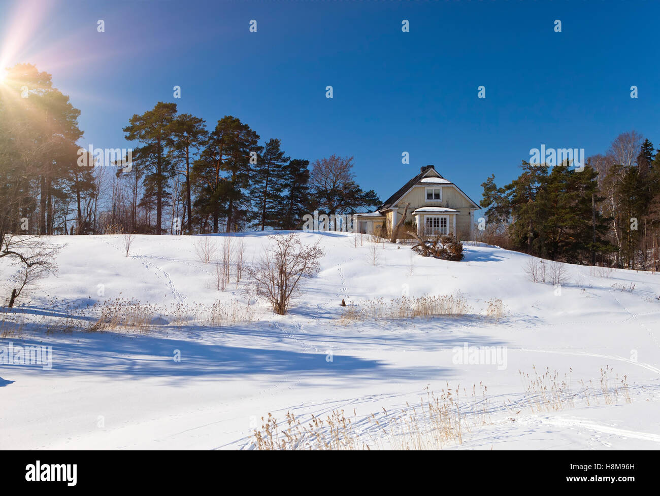Wooden log hut in the wood in sunny winter day Stock Photo - Alamy