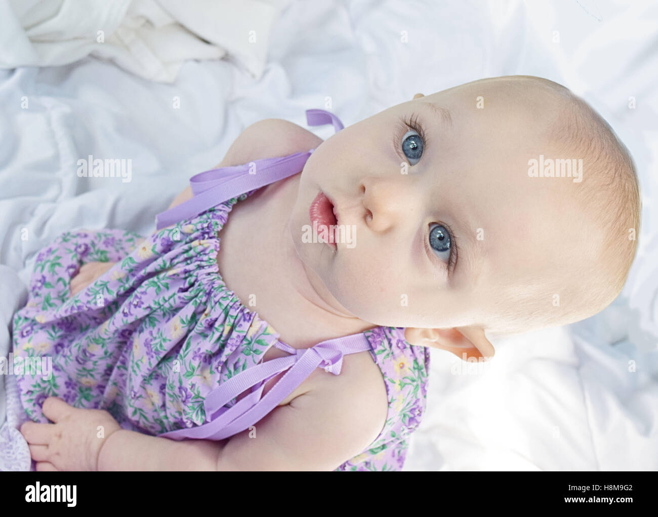 Baby in Lavender Stock Photo Alamy