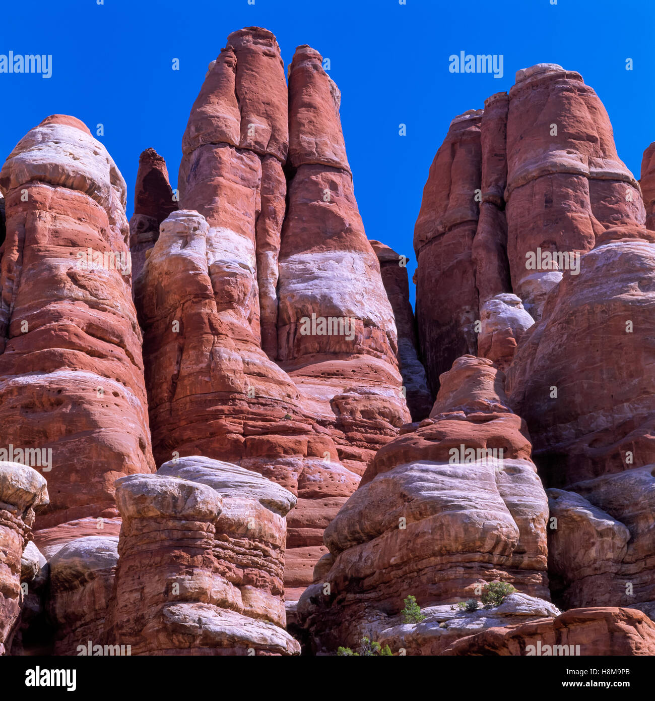 rock spires in the needles section of canyonlands national park near moab, utah Stock Photo