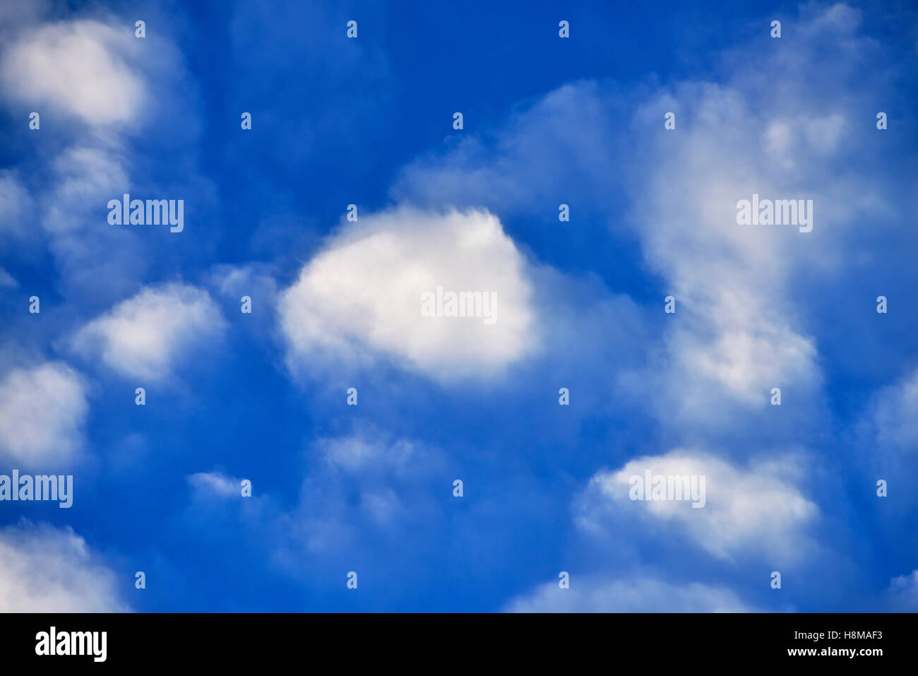 Weather phenomenon fleecy clouds (cirrocumulus) in the sky Stock Photo