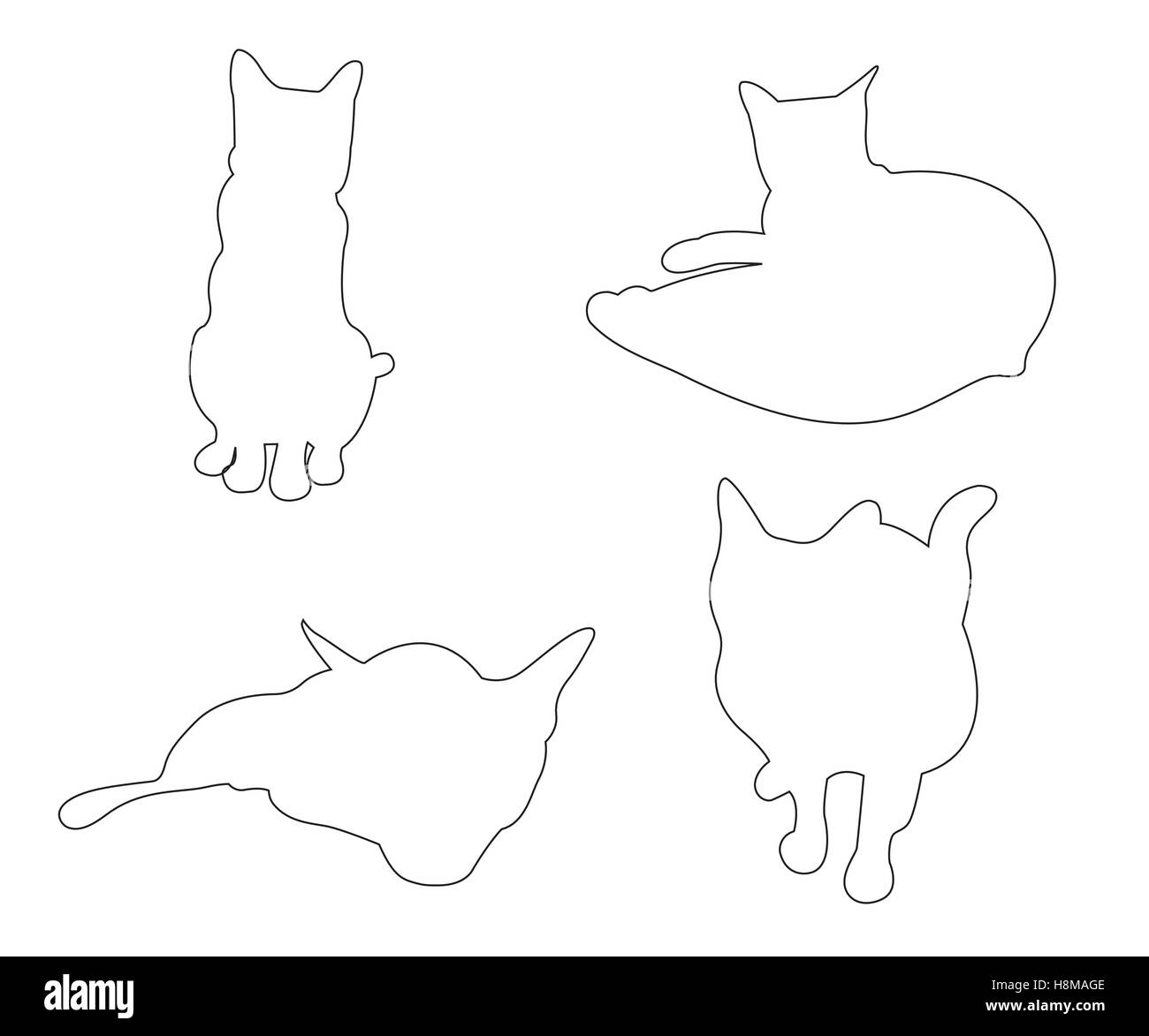 Paths Vector Vectors High Resolution Stock Photography and Images - Alamy
