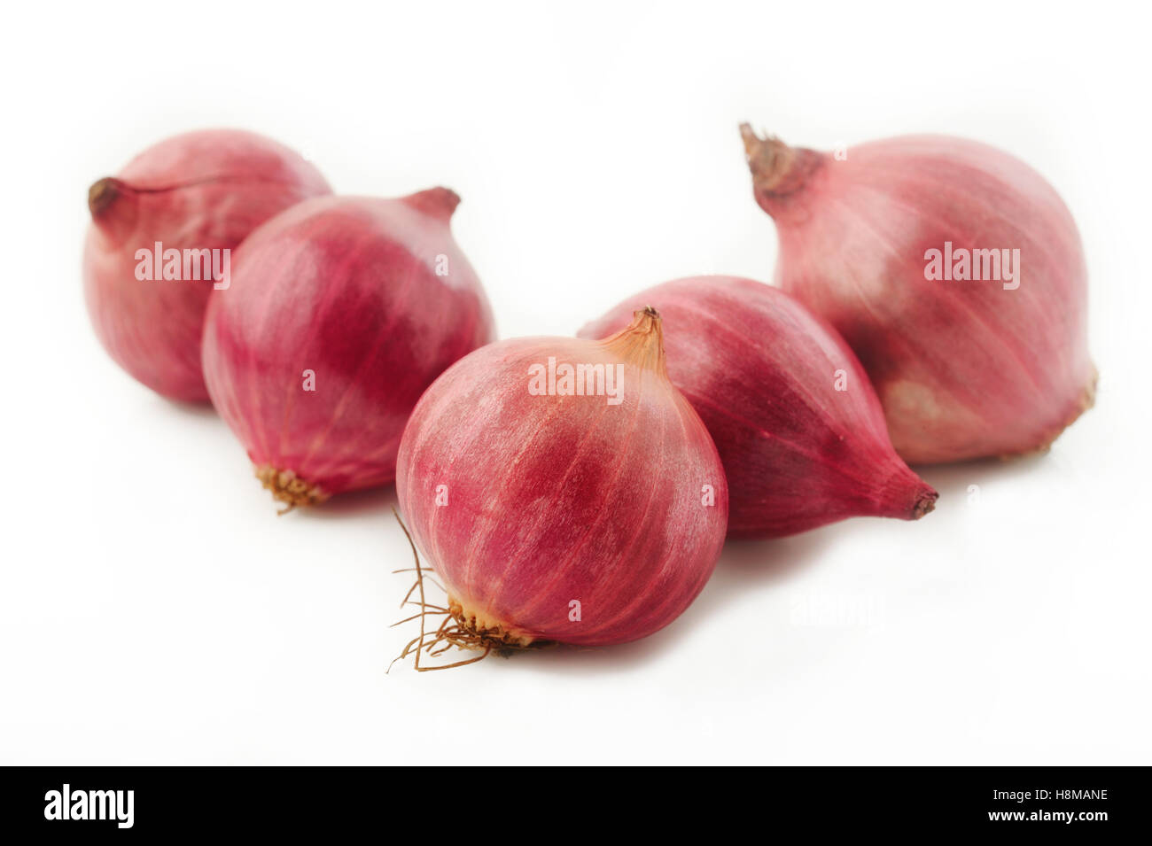 shallot onion isolated on white background Stock Photo Alamy