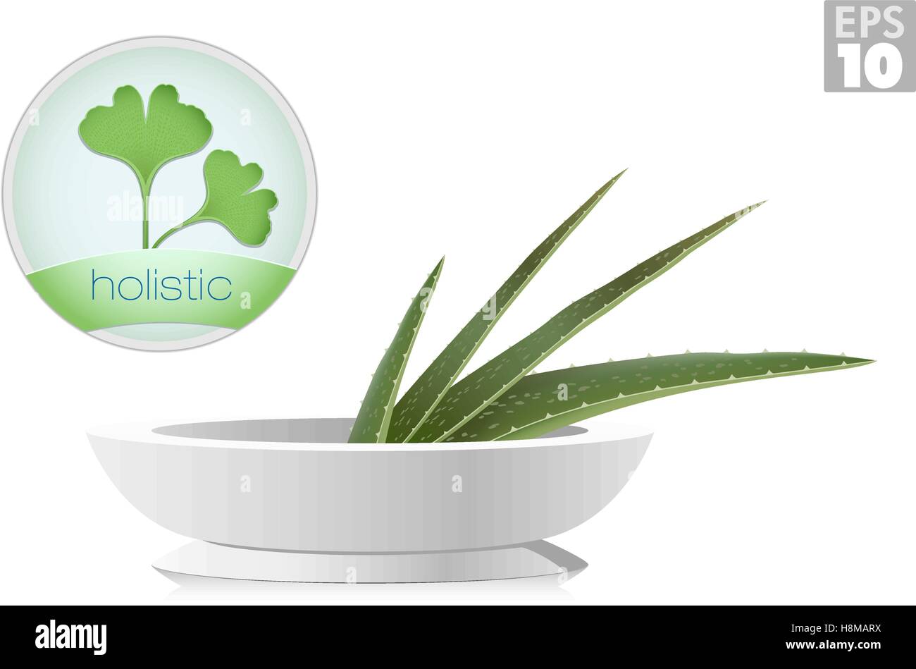 Aloe and ginkgo biloba plants, holistic icons, alternative medicine Stock Vector