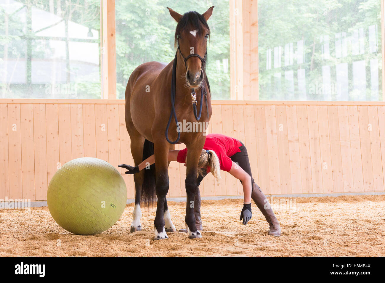 Young woman playing horse ball hi res stock photography and images