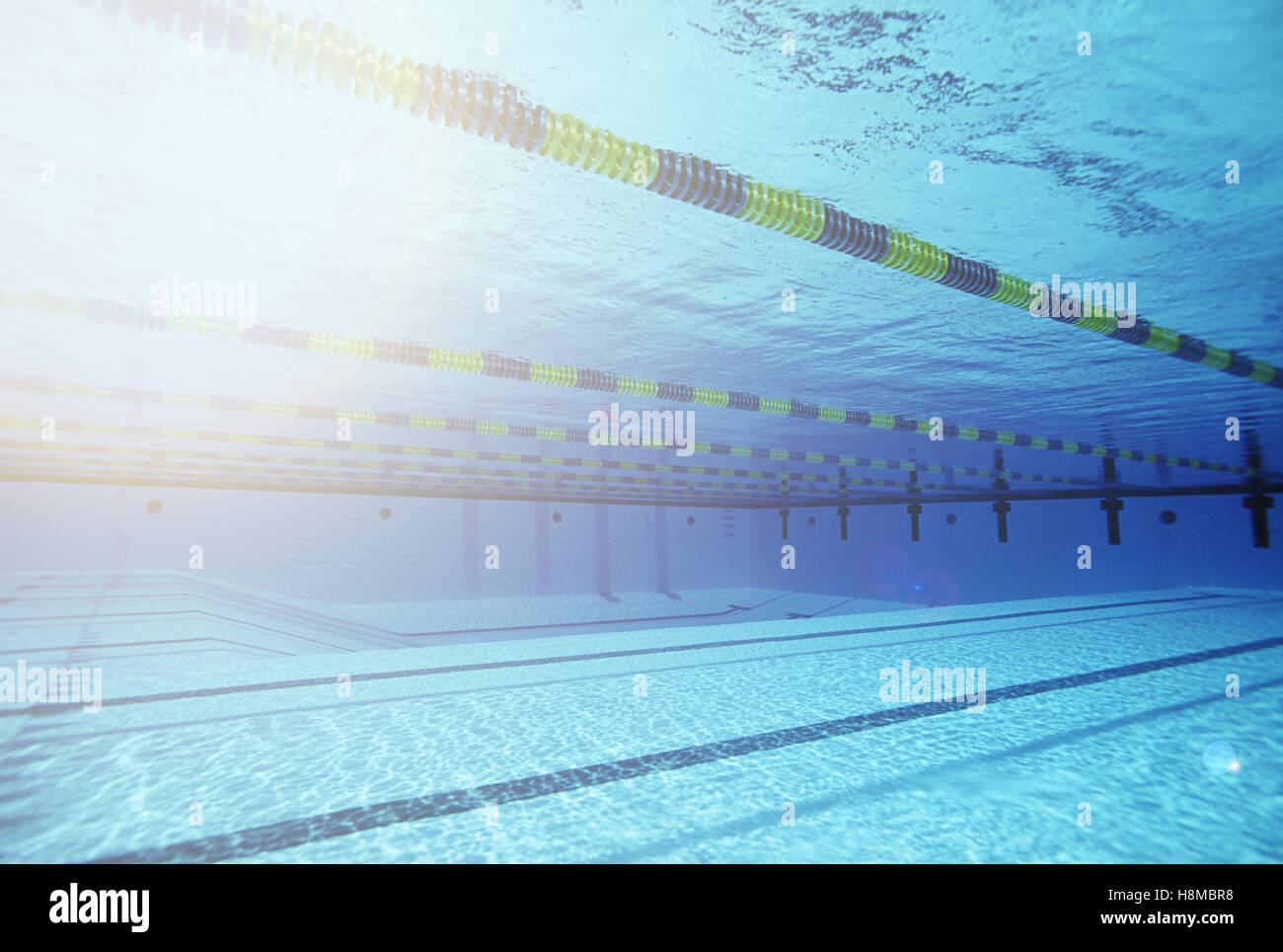 Empty swimming pool with lane markers Stock Photo Alamy
