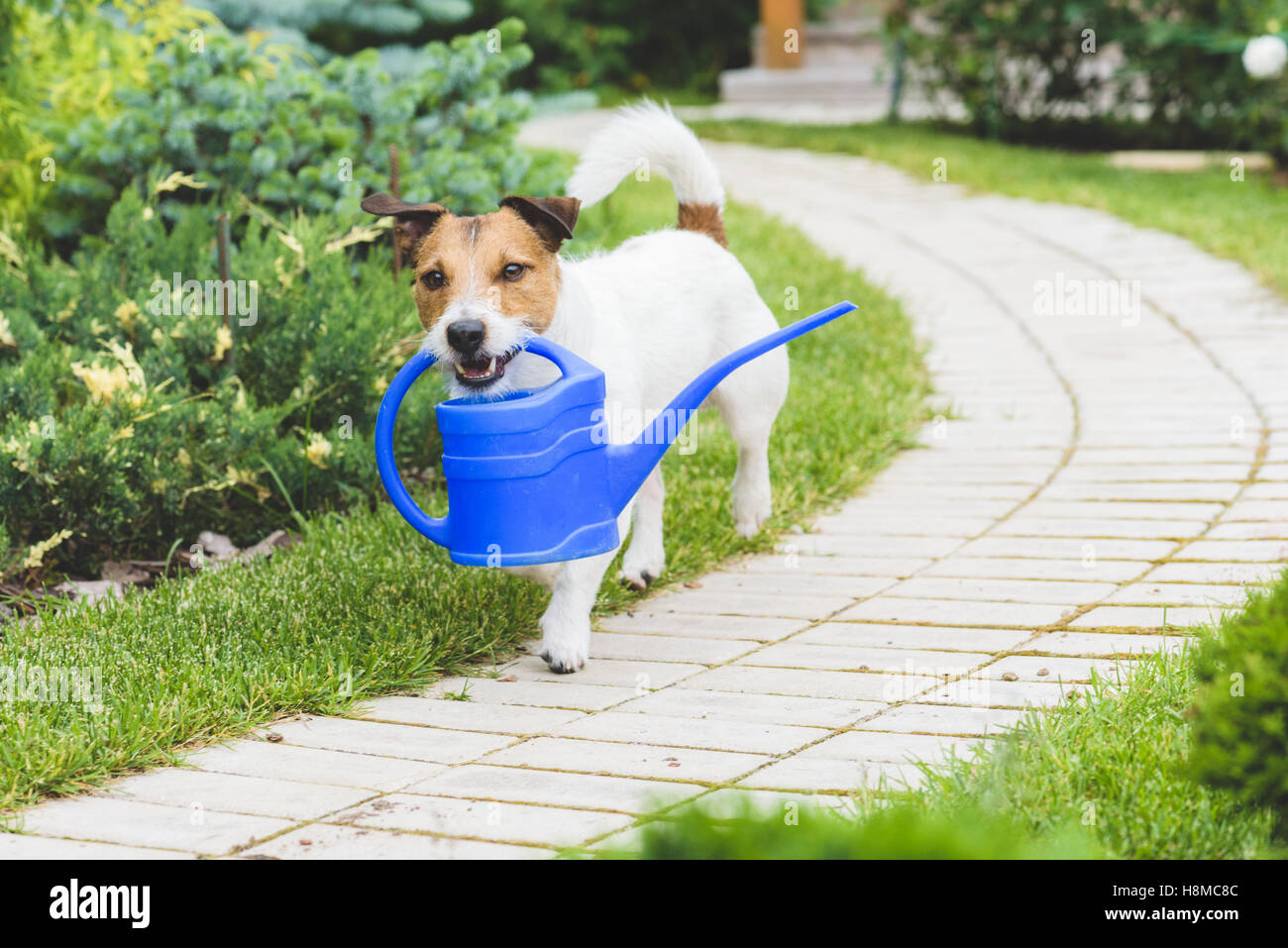 Gardener Funny Stock Photos & Gardener Funny Stock Images Alamy