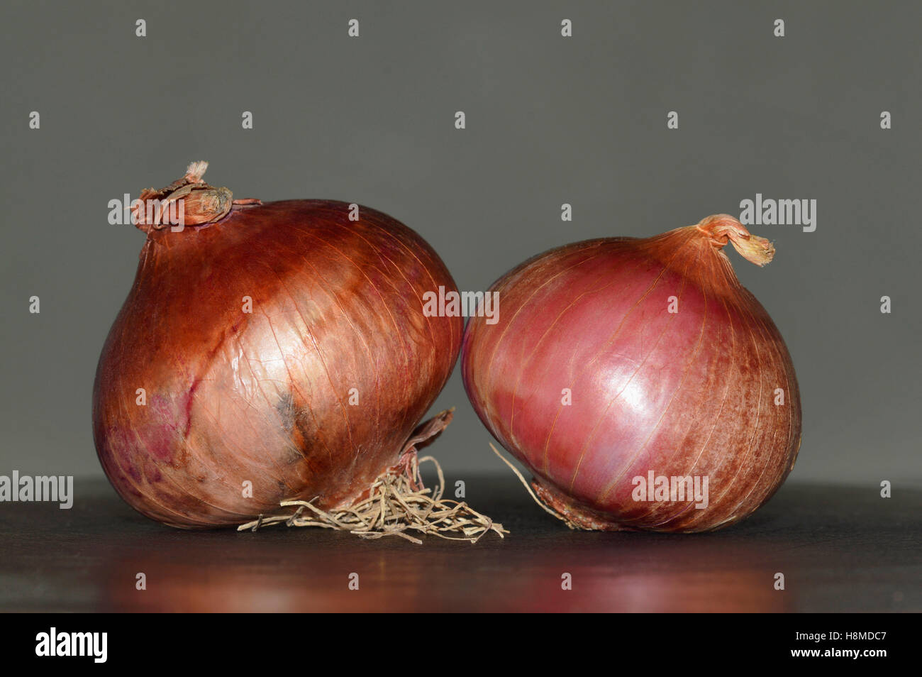 Two onions, Pune Stock Photo