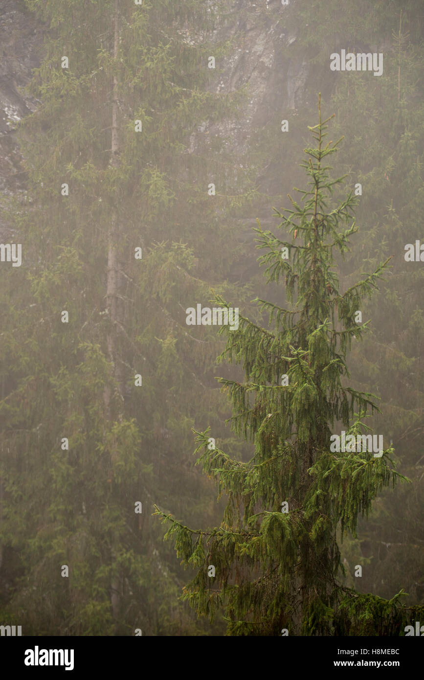 Hike in the dolomites hi-res stock photography and images - Alamy