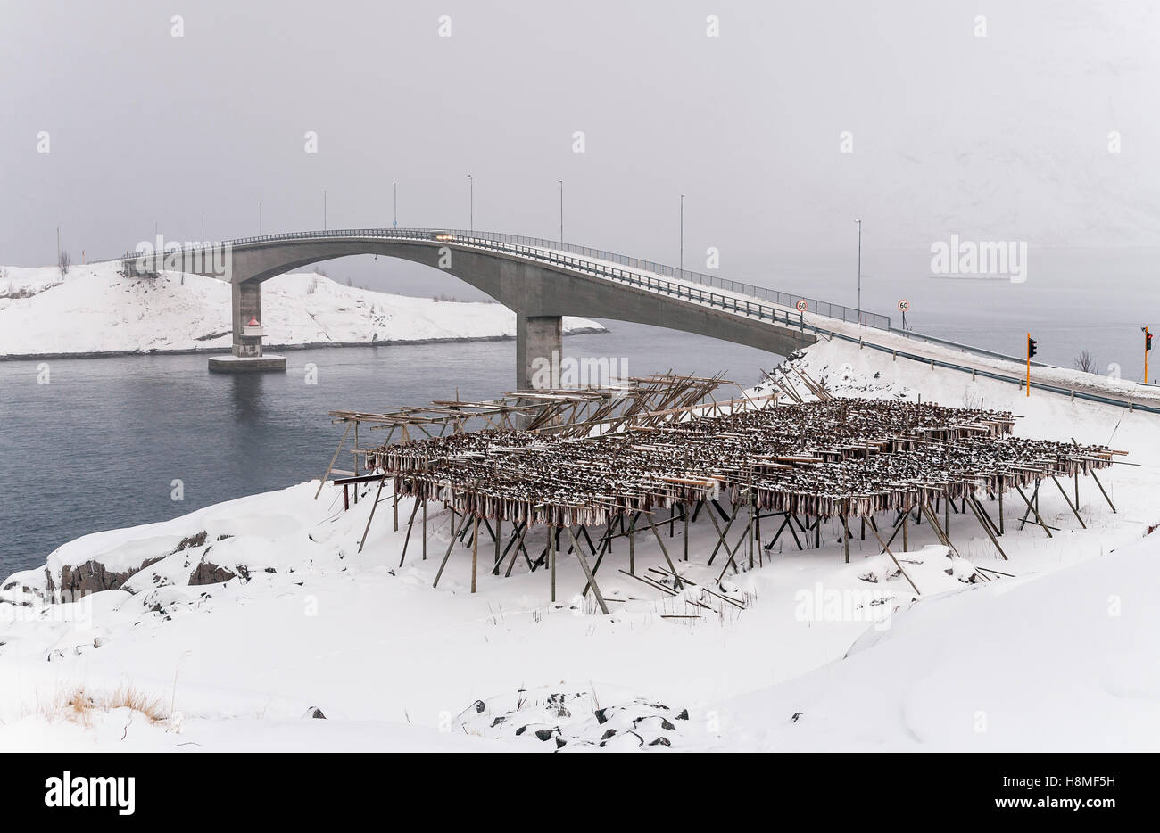 Lofoten dry cod hi-res stock photography and images - Alamy