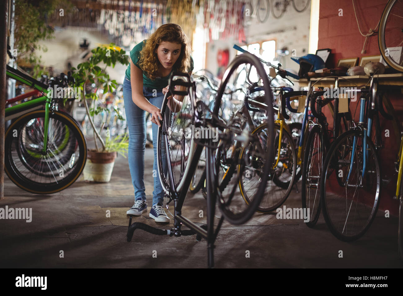 Mechanic examining bicycle Stock Photo