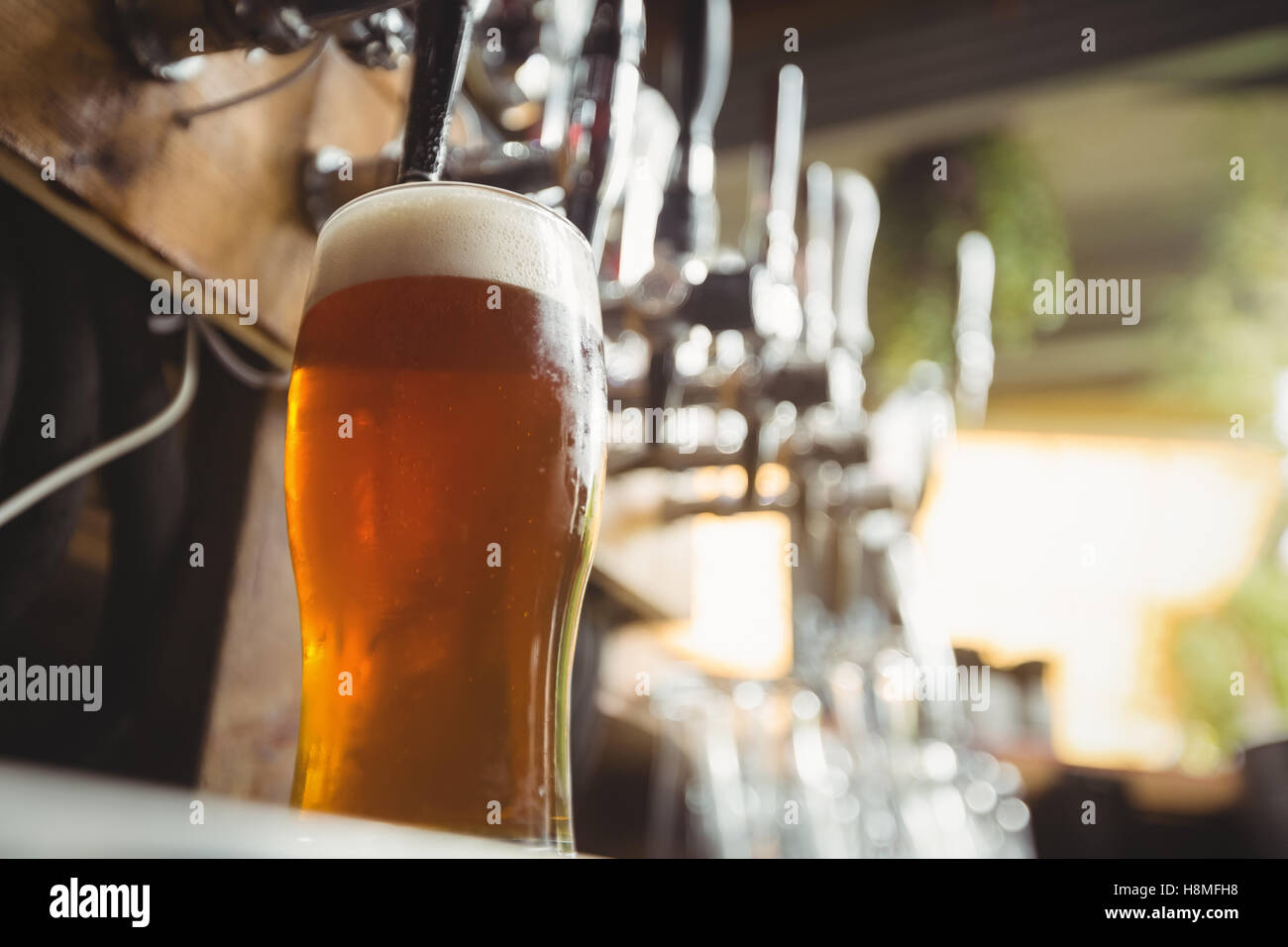 Close-up of beer glass with froth Stock Photo