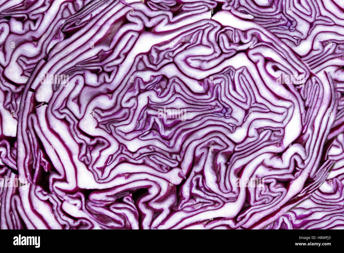 Abstract pattern in a cut red cabbage in close-up Stock Photo