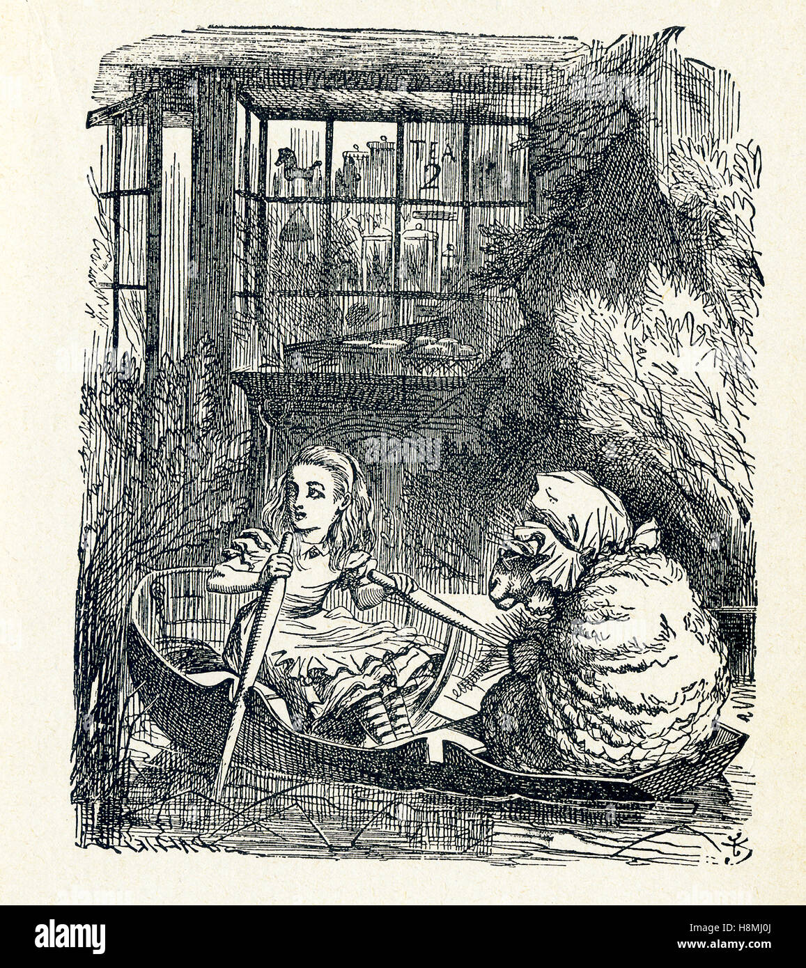 This is a scene from what Alice saw once she went through the Looking ...