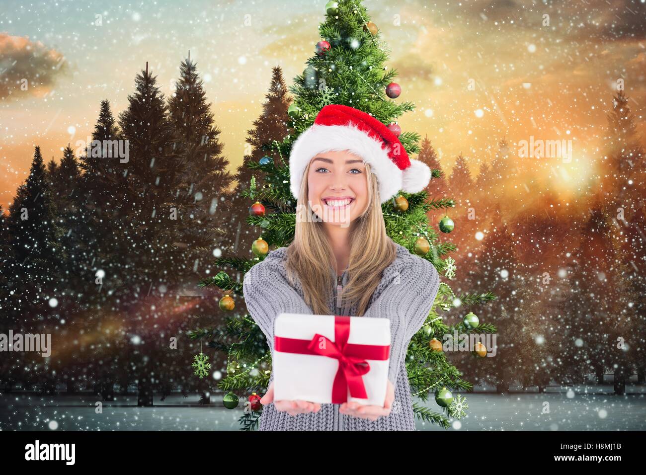 Beautiful woman in santa hat holding a gift Stock Photo