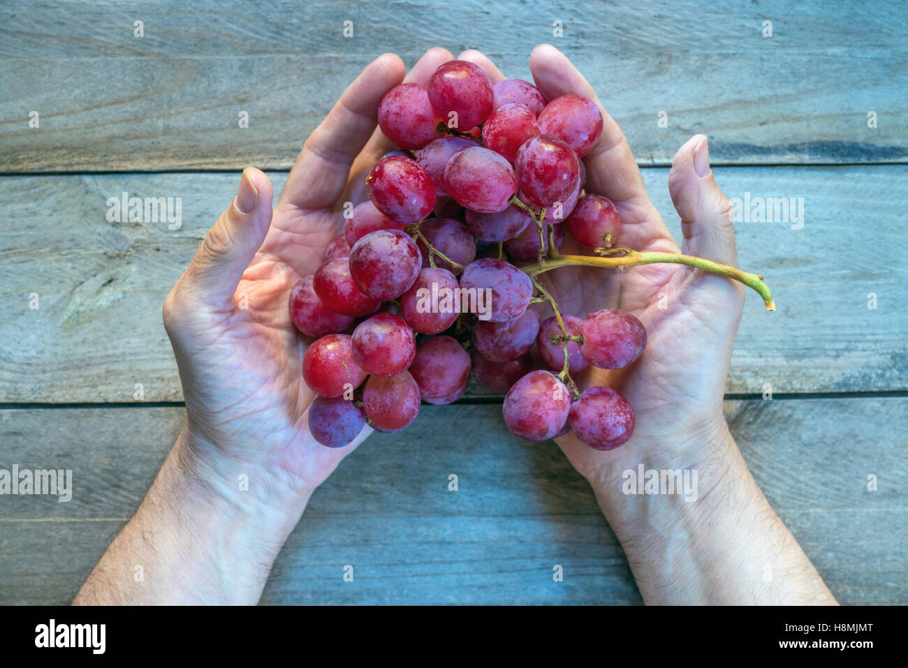 Man's hands holding a bunch of red grapes Stock Photo Alamy