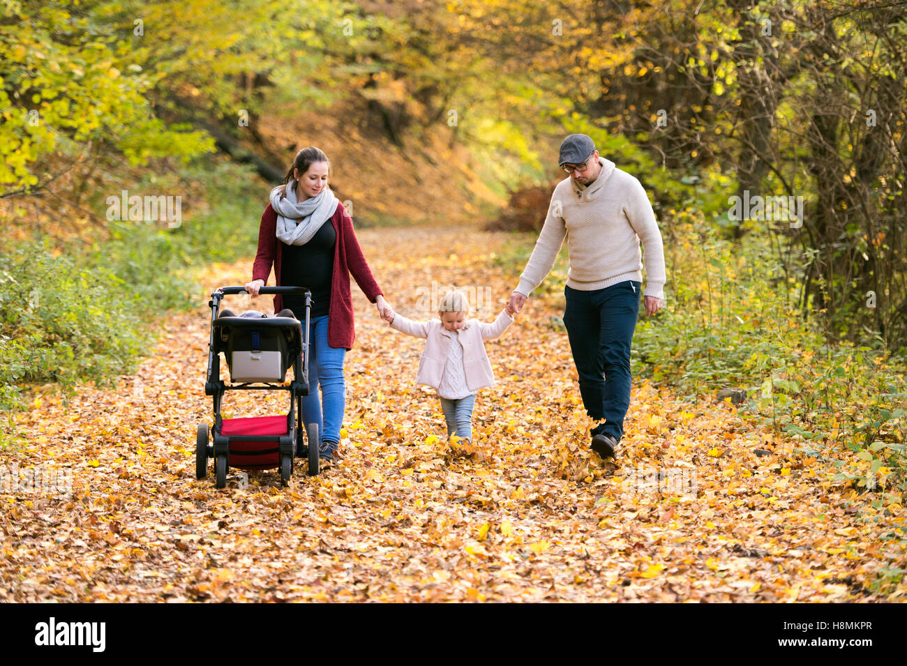 Beautiful young family on a walk in autumn forest Stock Photo - Alamy
