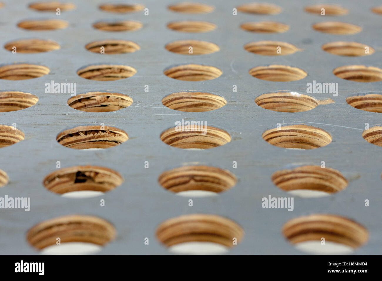 Holes Pattern Drilled in Grey Plywood Stock Photo Alamy
