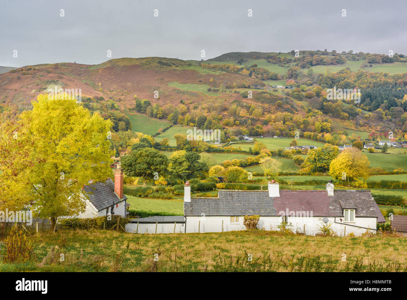 Welsh countryside in autumn at Glyndyfrdwy. Stock Photo