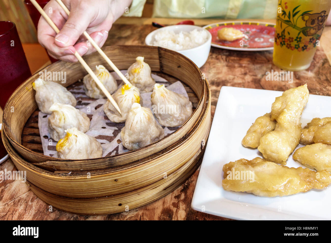 Fried Dumplings Vs Steamed Dumplings