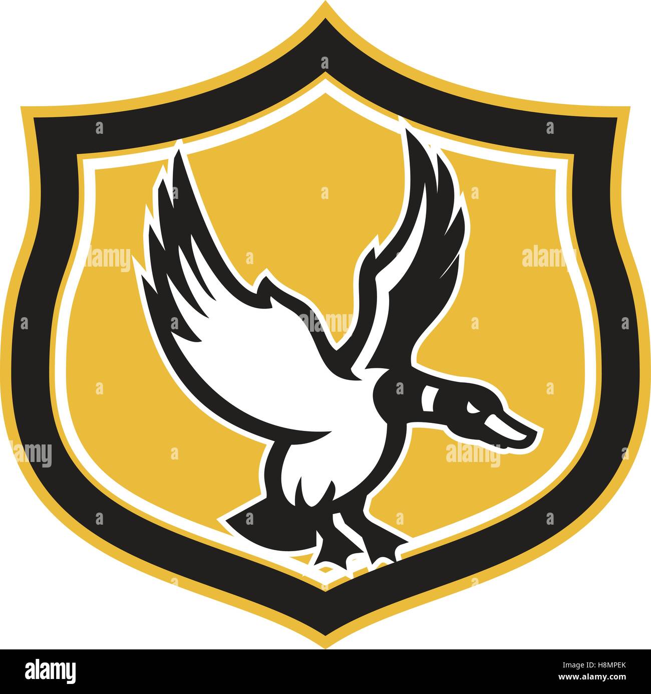 Illustration of a mallard duck and wings landing or about to land viewed from the side set inside shield crest on isolated backg Stock Vector