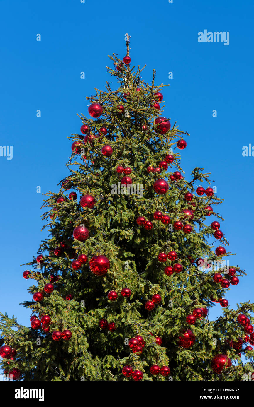 Christmas tree decorated with red balls Stock Photo - Alamy