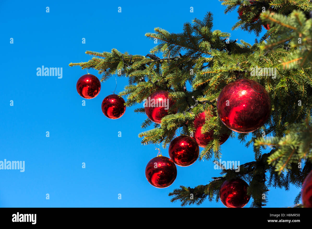 Christmas tree decorated with red balls Stock Photo - Alamy