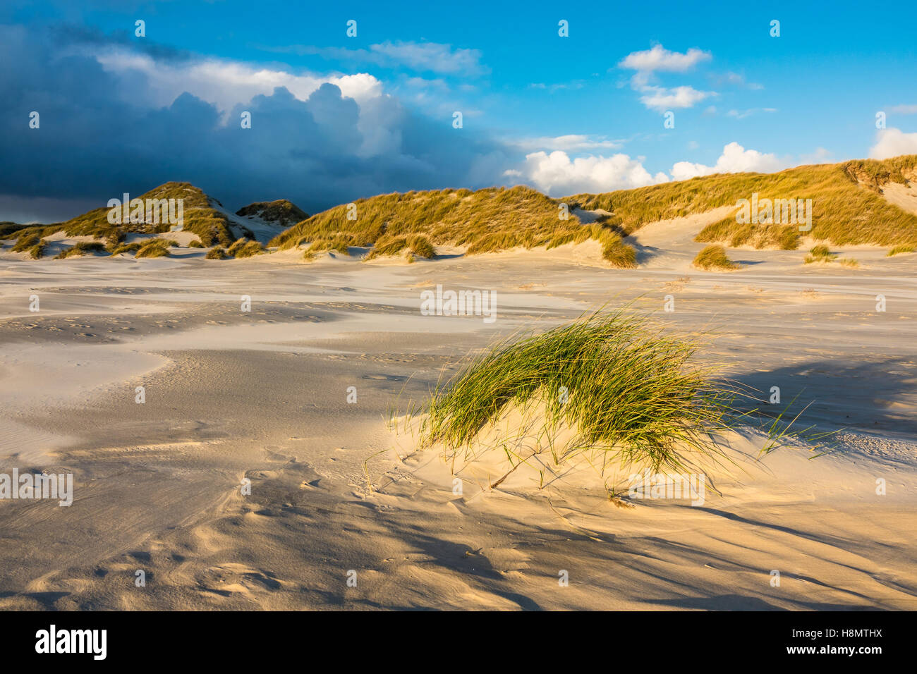 Dunes on the North Sea coast on the island Amrum, Germany Stock Photo