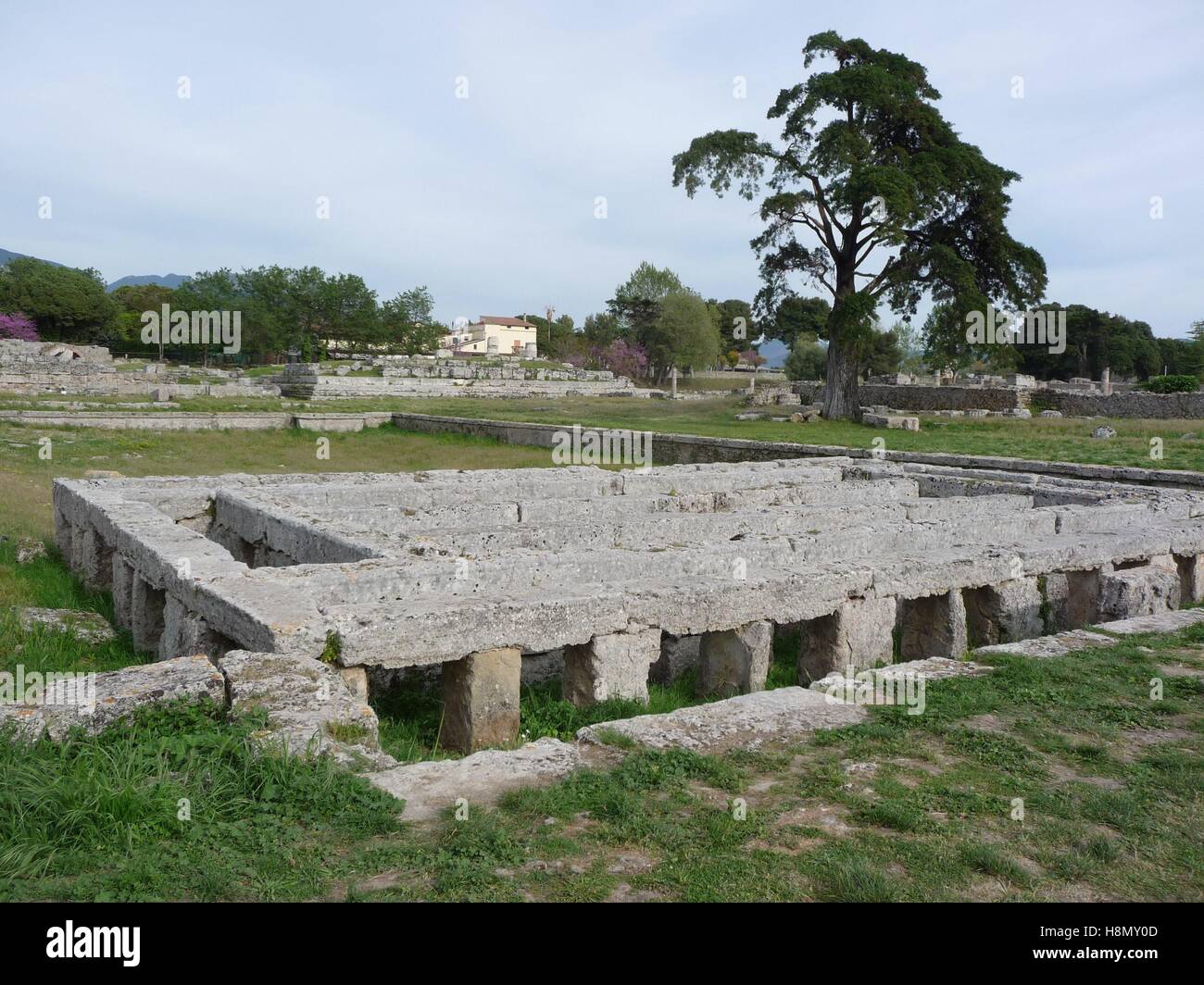 Natatio hi-res stock photography and images - Alamy