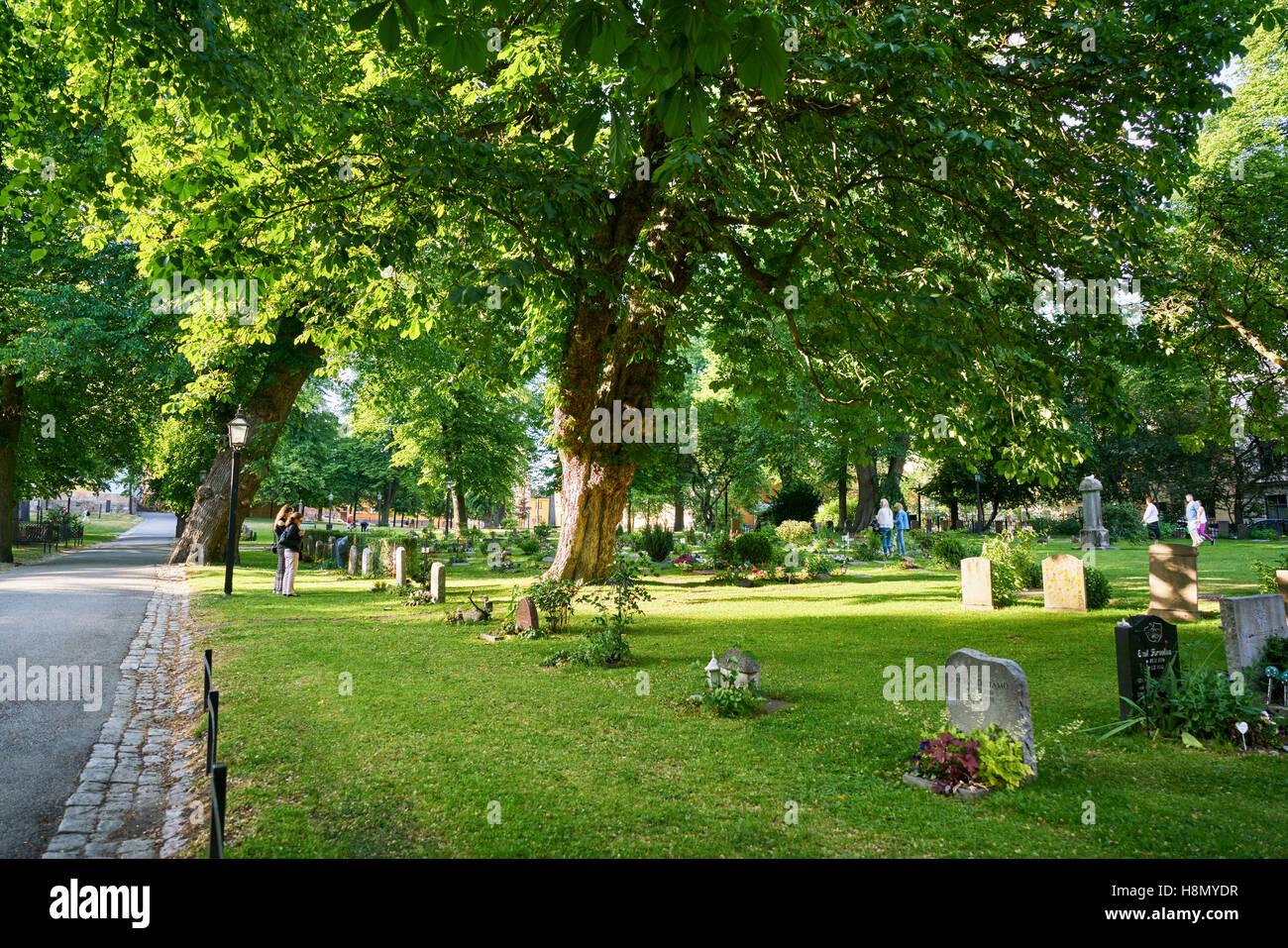 Green grass and trees in cemetery Stock Photo