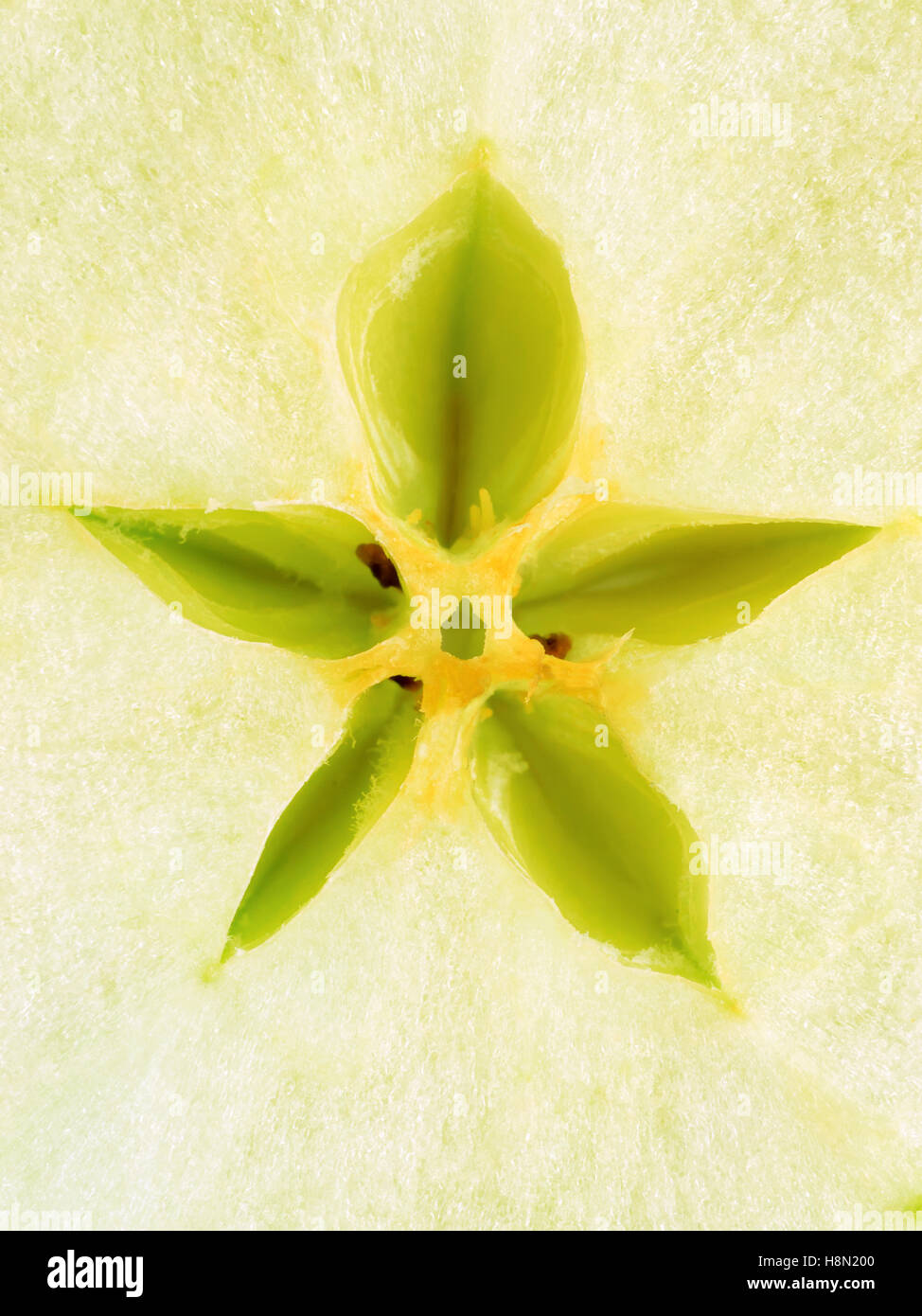 Apple Core High Resolution Stock Photography and Images - Alamy